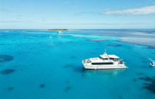 1770 Reef - Great Barrier Reef Eco Tours1