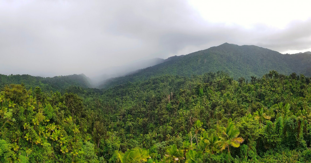 Private 5Hr Tropical Rainforest Waterfall, Mar Chiquita Beach Tour & Hiking