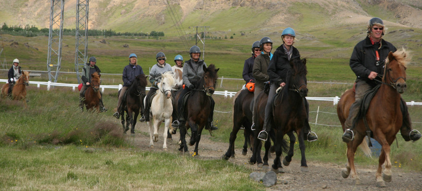 Horse Riding Adventure & Golden Circle Combo Tour