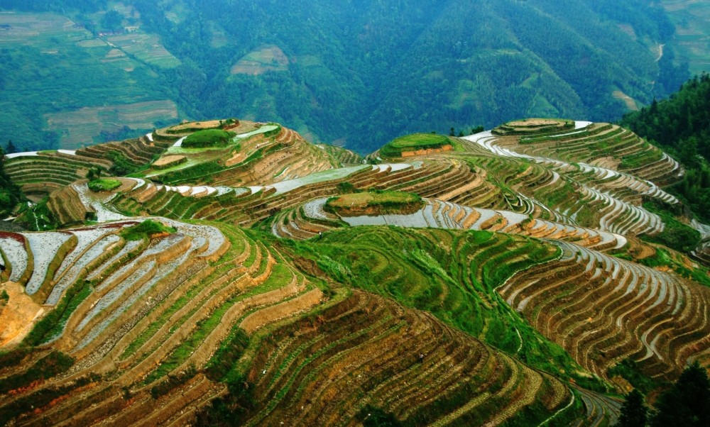 Longsheng Rice Terrace Sights & Attractions - Project Expedition