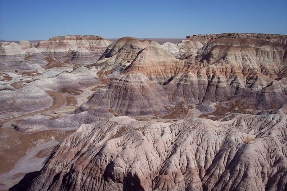 Petrified forest national park где находится