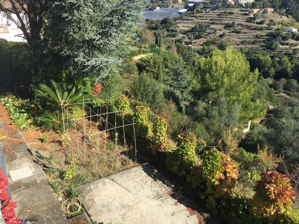 Organic Dinner in the Garden of Nice