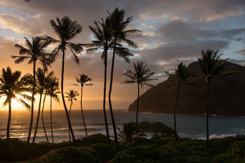 Golden Sunrise Photo Tour