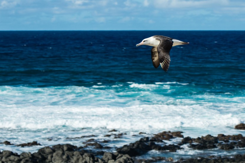 Beautiful Colors Hawaii Photo Tour