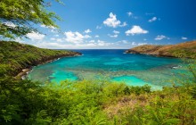 Beautiful Colors Hawaii Photo Tour