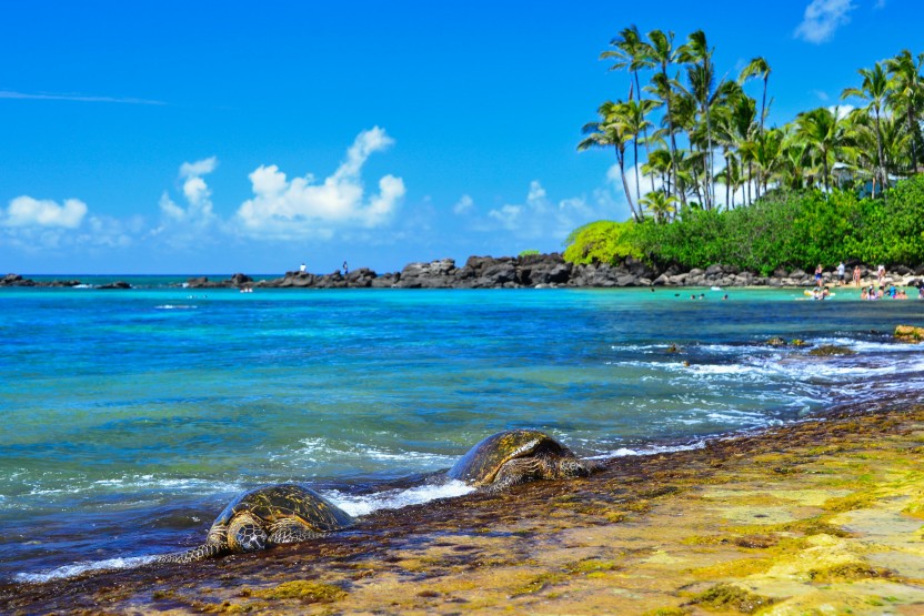 The North Shore Photo Tour