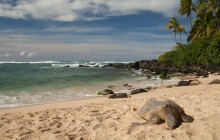 Oahu Photography Tours15