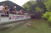 Fun Tours Jamaica1