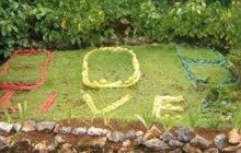 Fun Tours Jamaica2