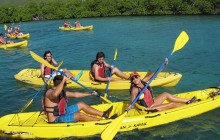 3-Hr Mangrove Lagoon, Cas Cay Kayak, Hike & Snorkel (optional transfer)