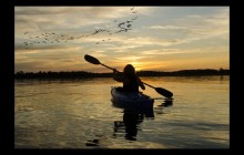 St Thomas - Bird Island Sunset Kayak