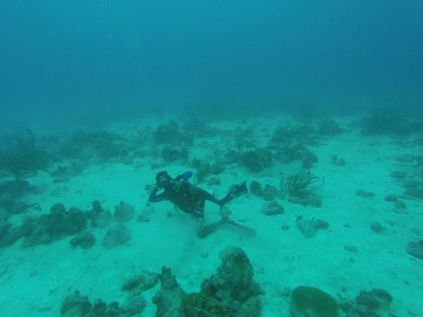 PADI Advanced Open Water