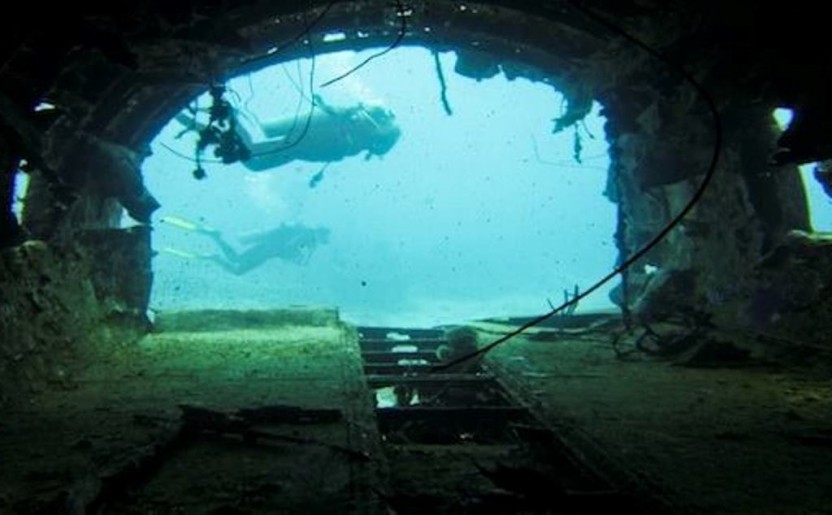 1 Tank dive (rental gear)