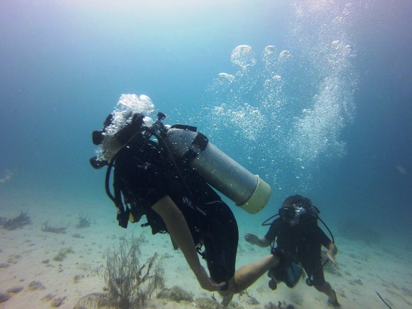 1 Tank dive (rental gear)