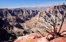 Grand Canyon West Rim Bus Tour with Skywalk Tickets