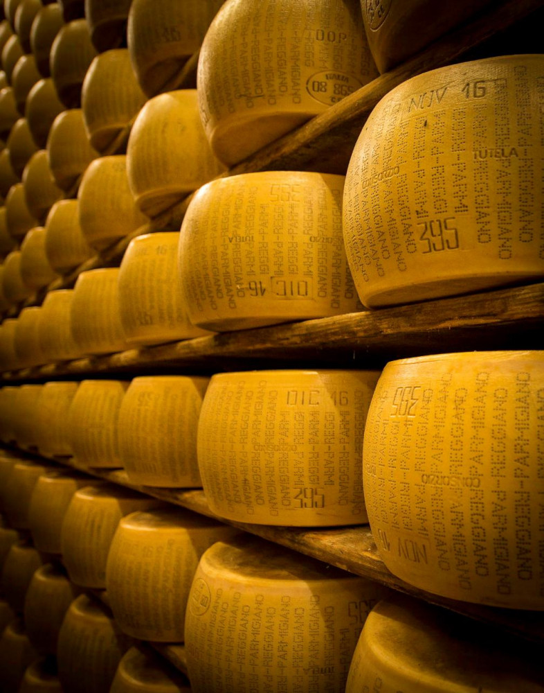 cheese factory tour italy