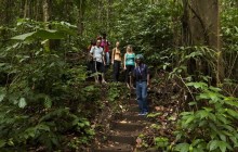 Rainforest Adventures: Jacquot Trail Hike
