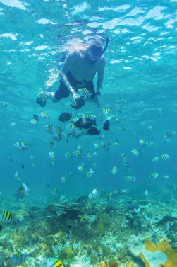 Isla Mujeres Luxury Catamaran Sailing Tour, Open Bar & Free Time