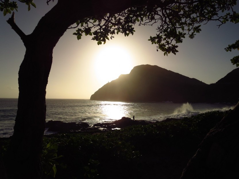 Private Honolulu Sea-Cliff Tour With Sunset