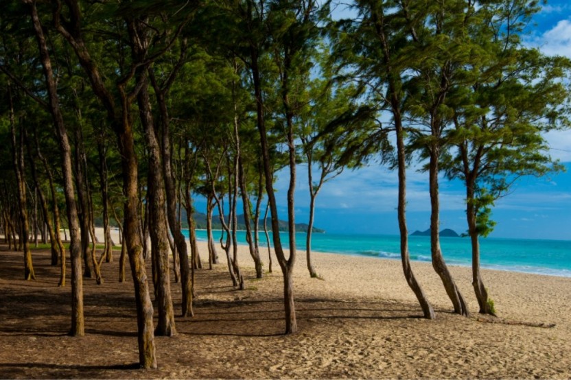 Private Complete Island Adventure With Sunrise