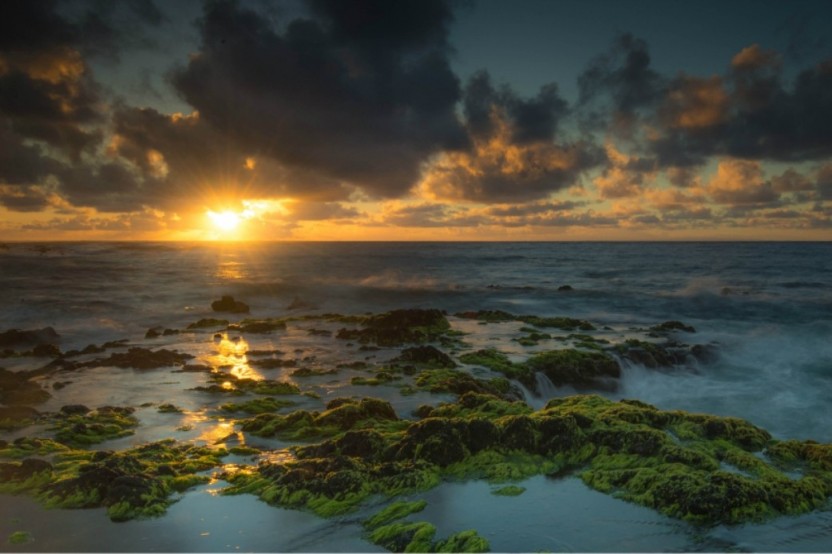 Circle Island Sunrise Private Photo Tour