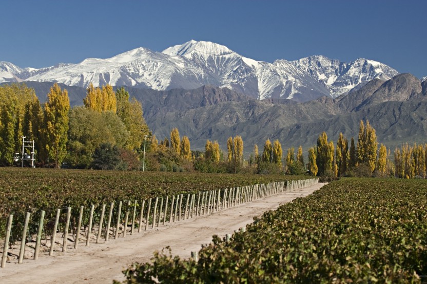 Mendoza / Andes & Wine