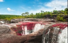 Caño Cristales 3-Day Trip From Bogota