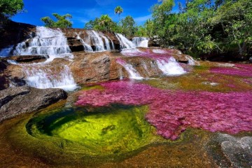 A picture of Caño Cristales 3-Day Trip From Bogota