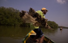 Fishing with Locals near Cartagena
