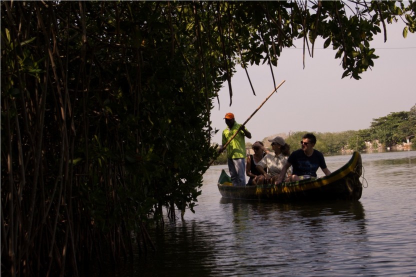 Into the Mangroves: Canoe Tour with Local Fishermen near Cartagena