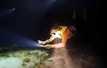 Guided Night Dive Weekly Schedule