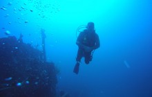 Wreck Diver - 4 dives incl. books