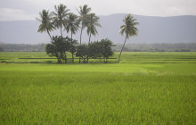 Kochi-Athirappally-Malakkapara-Valparai-Pollachi With a Night