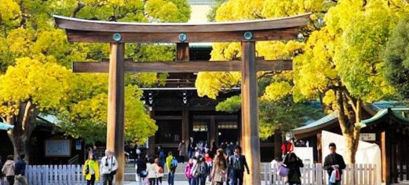 Private Tokyo Full-day Tour By Chartered Vehicle