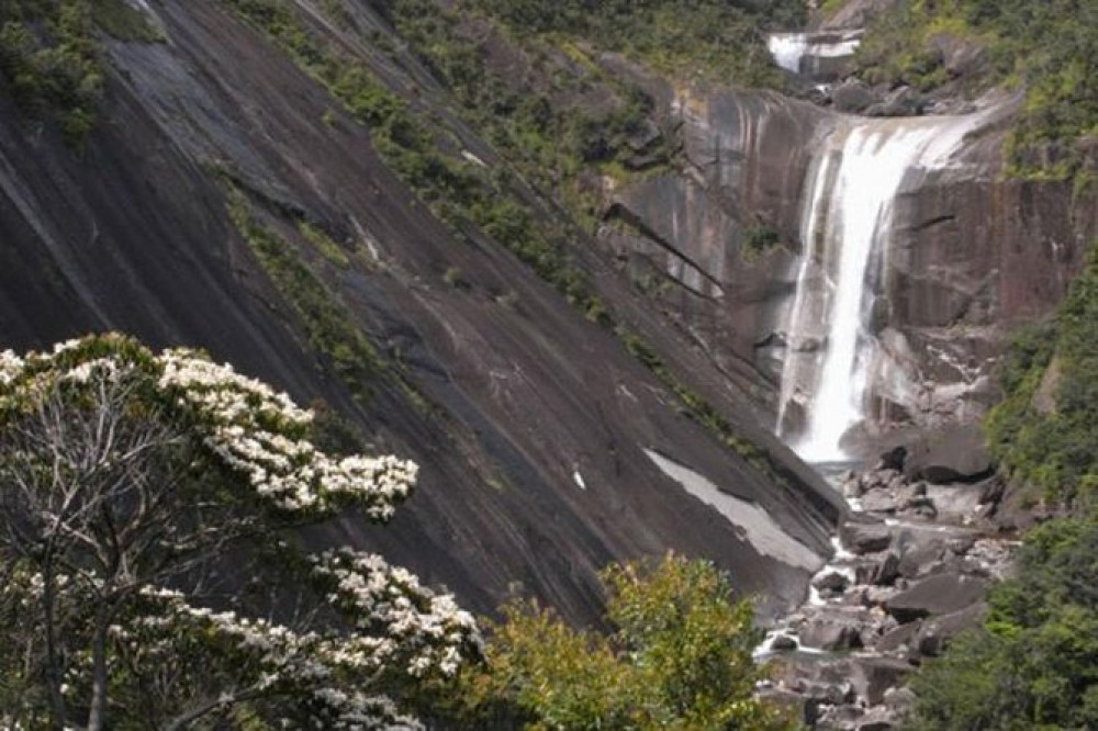 Walking Tour Of Yakushima Island With A Local Expert