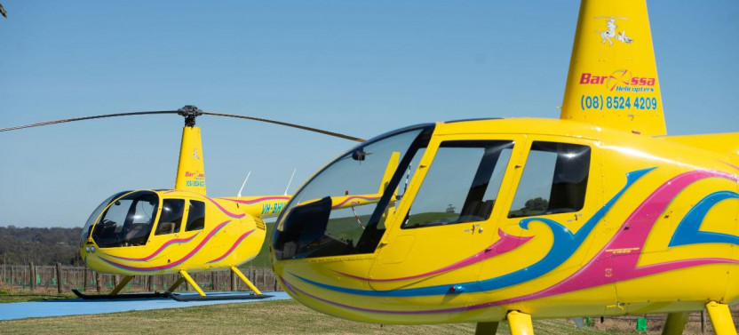 Private Southern Barossa - 10 Minute Scenic Flight