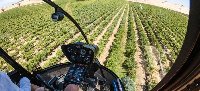 Private Southern Barossa - 10 Minute Scenic Flight