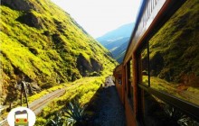 Complete Ecuador Andes,Jungle & Galapagos Adventure 21D/20N