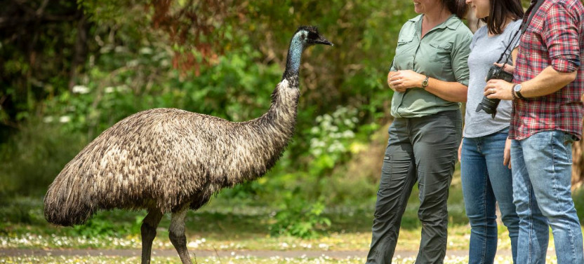 Melbourne to Adelaide 3 Day Original Tour (Private Double/Twin)
