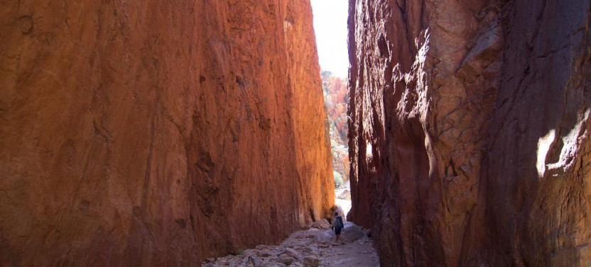 Larapinta Trail 5 Day Trek - Private Single Safari Tent From Alice Springs
