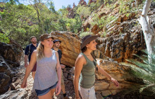 Autopia Tours (Northern Territory)13
