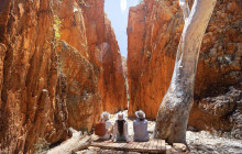 Autopia Tours (Northern Territory)14
