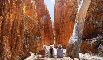 A picture of Red Centre To West Macdonnell 4 Day Tour - Basic Swag From Alice Springs