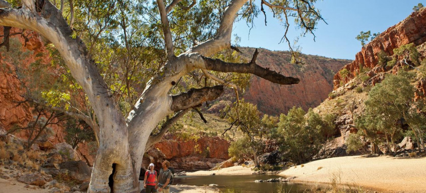 Uluru Kings Canyon to West MacDonnell 4 Day - Safari Tent from Ayers Rock