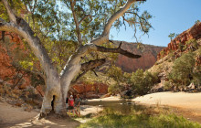 Autopia Tours (Northern Territory)3