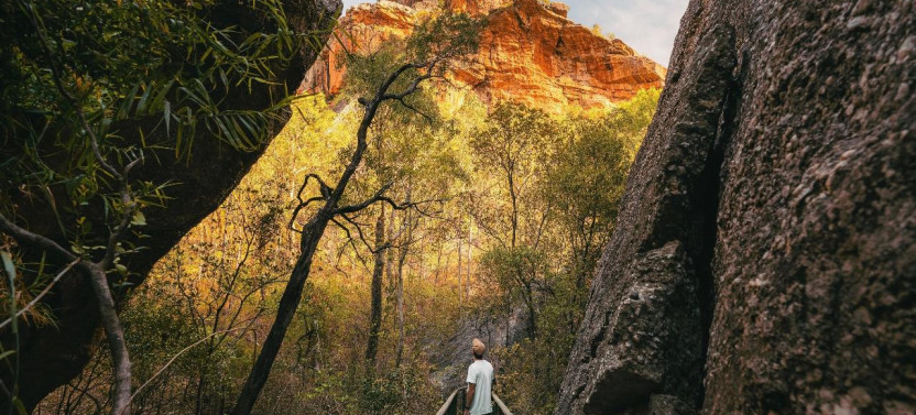 Kakadu + Litchfield 4WD (Camping) 3 Day Tour - Safari Tent from Darwin