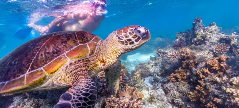 Perth to Exmouth Explorer 7 Day Tour (Private Single Room)