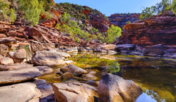 A picture of Perth to Exmouth Explorer 7 Day Tour (Private Single Room)