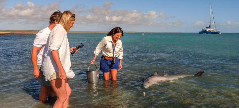 Perth to Exmouth Explorer 7 Day Tour (Private Single Room)