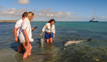 A picture of Perth to Exmouth Explorer 7 Day Tour (Standard Double/Twin Room)